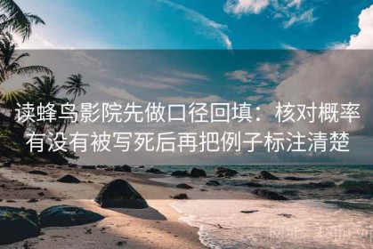 读蜂鸟影院先做口径回填：核对概率有没有被写死后再把例子标注清楚