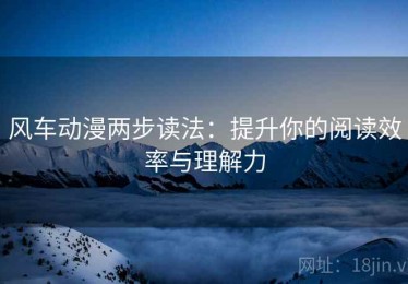 风车动漫两步读法：提升你的阅读效率与理解力