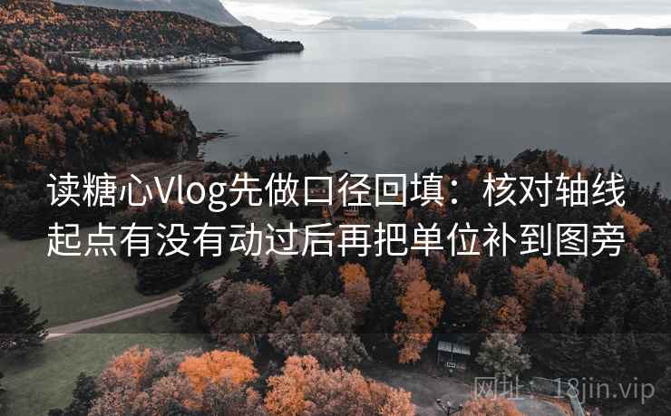 读糖心Vlog先做口径回填：核对轴线起点有没有动过后再把单位补到图旁