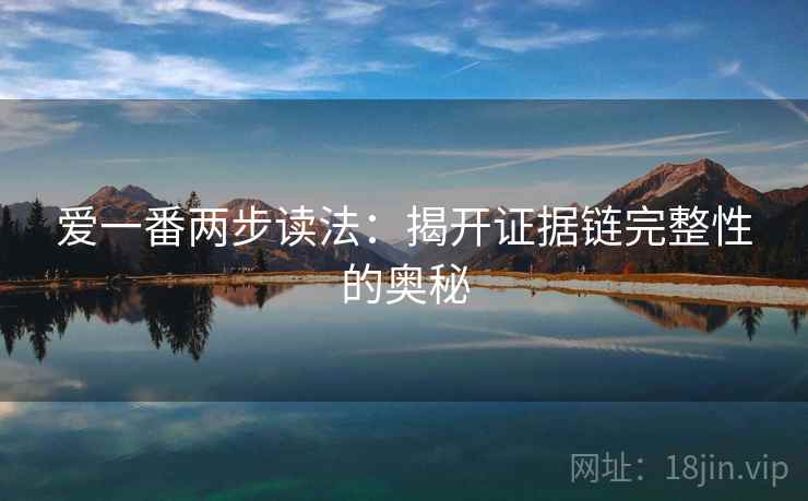 爱一番两步读法:揭开证据链完整性的奥秘 爱一番两步读法:揭开证据链完整性的奥秘